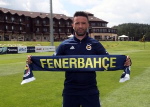 Gökhan Gönül, Fenerbahçe