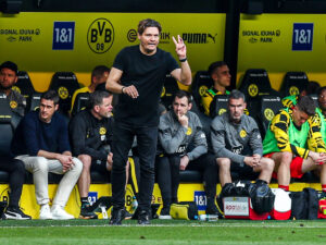 Edin Terzic, Borussia Dortmund