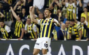 Fenerbahçe sevinç, Tadic